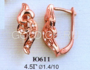 Ю611