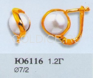 Ю6116