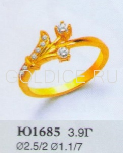 Ю1685
