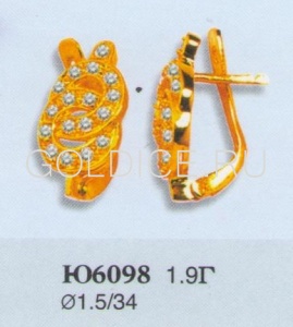 Ю6098